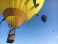 Balloons behind yellowheadR