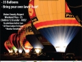2010-AOBF-poster
