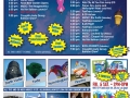 2016-AOBF-poster