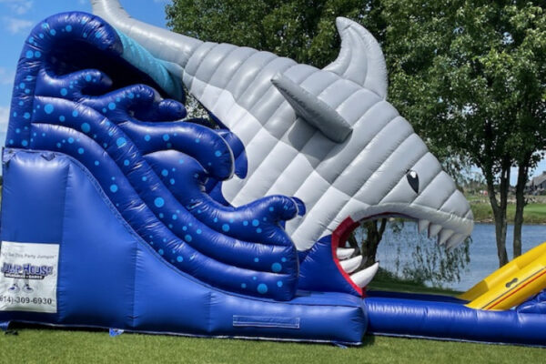 sharkslidepic2_1718798349_big